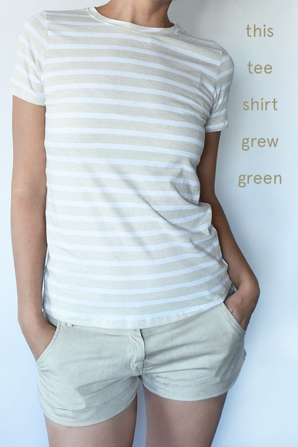 GOTS certified organic cotton, colorgrown colored cotton, dye free and chemical free